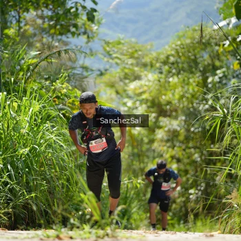 Runner Photo 1409221