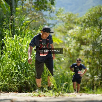 Runner Photo 1409236