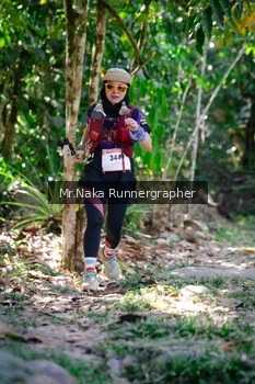 Runner Photo 14146