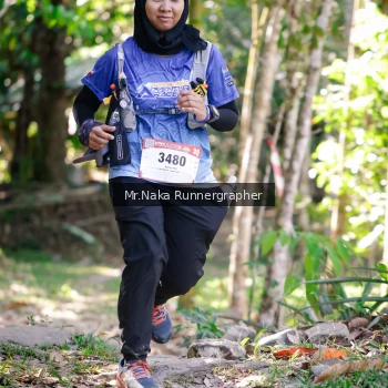 Runner Photo 14181