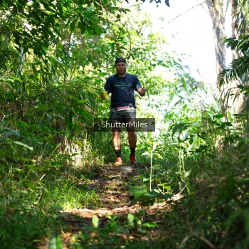 Runner Photo 1419241