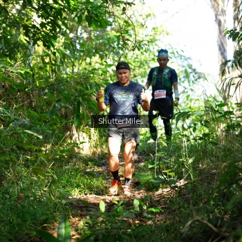 Runner Photo 1419251