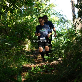 Runner Photo 1419289