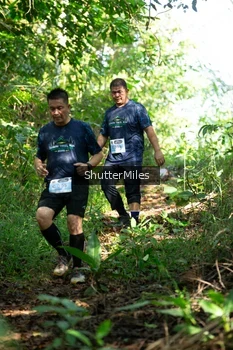 Runner Photo 1419290