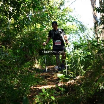 Runner Photo 1419390