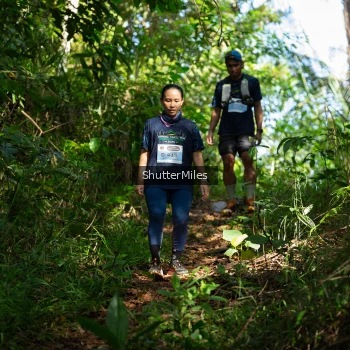 Runner Photo 1419482
