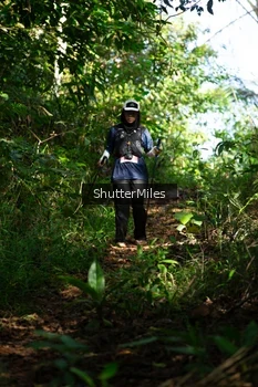Runner Photo 1419517