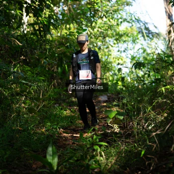 Runner Photo 1419534