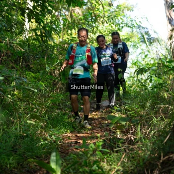 Runner Photo 1419557