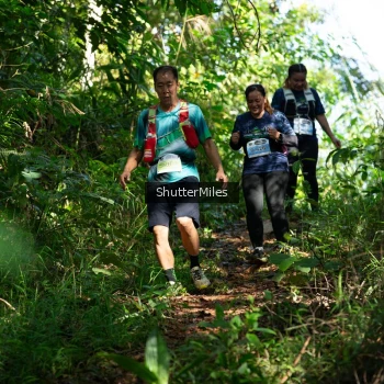 Runner Photo 1419562