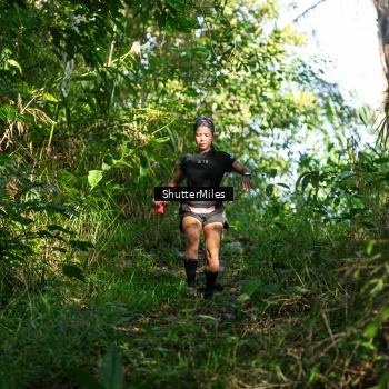 Runner Photo 1419814