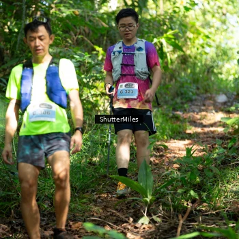 Runner Photo 1419904