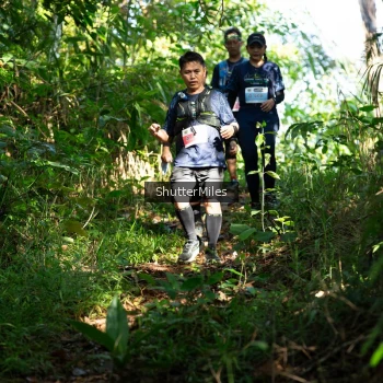 Runner Photo 1420196