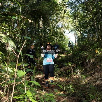 Runner Photo 1420664