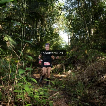 Runner Photo 1420703