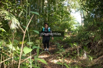 Runner Photo 1420712