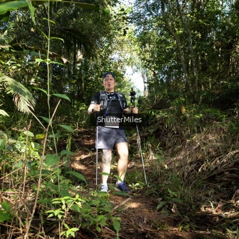 Runner Photo 1420744