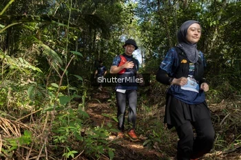 Runner Photo 1420786