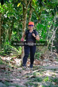 Runner Photo 14208