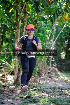 Runner Photo 14209
