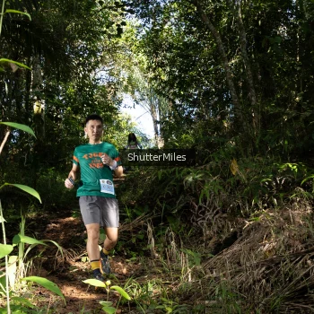 Runner Photo 1420968