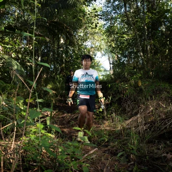 Runner Photo 1421230