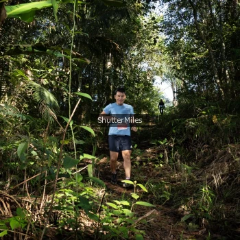 Runner Photo 1421259