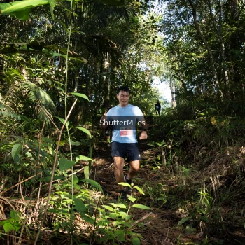 Runner Photo 1421260