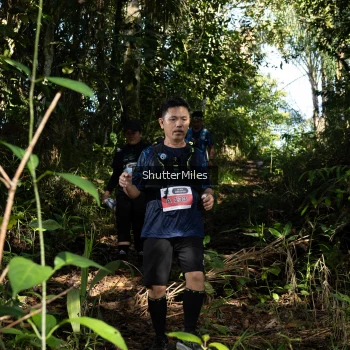 Runner Photo 1421296