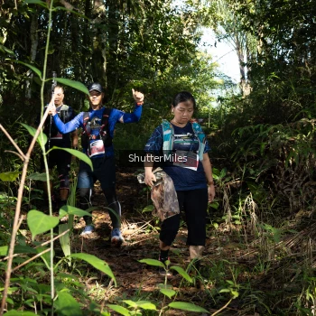 Runner Photo 1421332