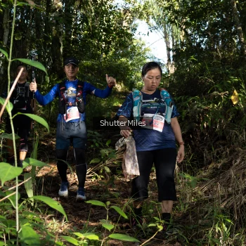Runner Photo 1421334