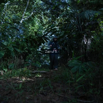 Runner Photo 1424672