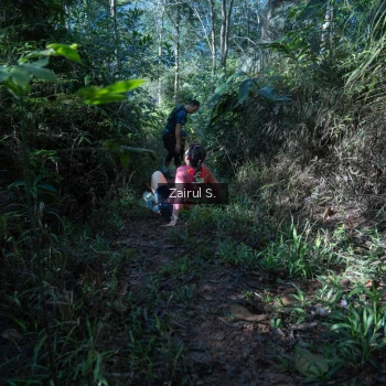 Runner Photo 1424858