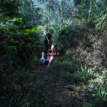 Runner Photo 1424862