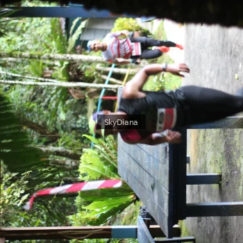 Runner Photo 1427548