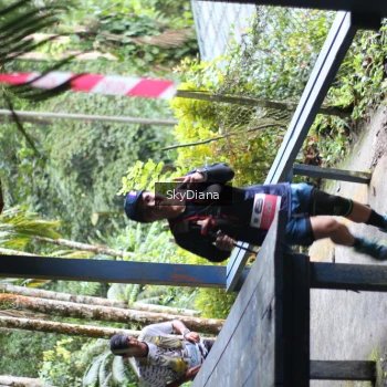 Runner Photo 1427683