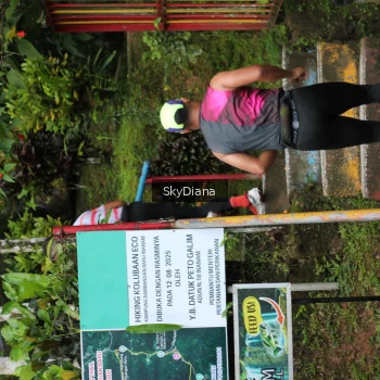 Runner Photo 1428003