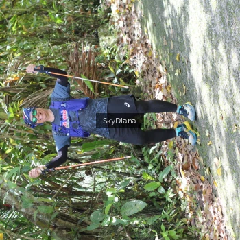 Runner Photo 1429118