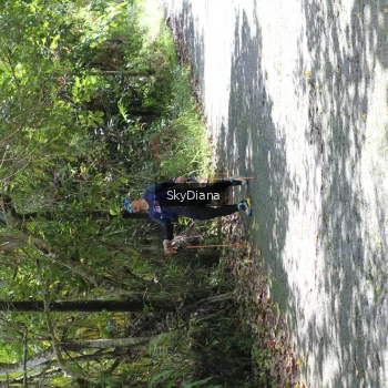 Runner Photo 1429203