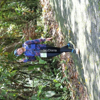 Runner Photo 1430202