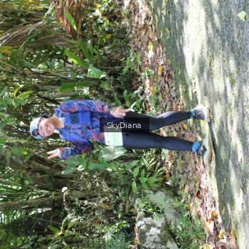 Runner Photo 1430208