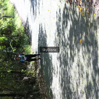 Runner Photo 1430223