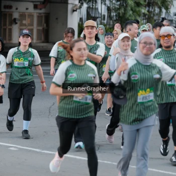 Runner Photo 1430246
