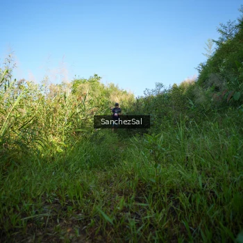 Runner Photo 1430705