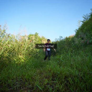 Runner Photo 1430817