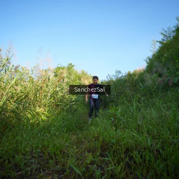 Runner Photo 1430834