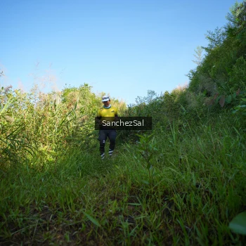 Runner Photo 1430846