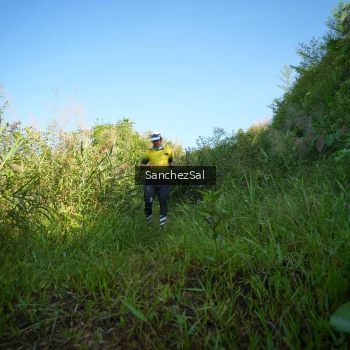 Runner Photo 1430853