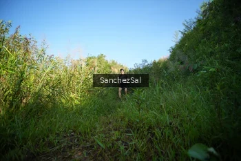 Runner Photo 1430921