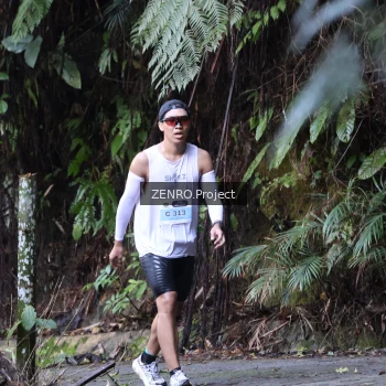 Runner Photo 1431788